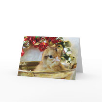 Christmas Chick Greeting Card