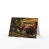 Christmas Chickens 2 Greeting Cards