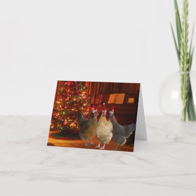 Christmas Chickens Greeting Cards