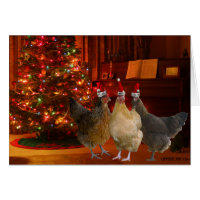 Christmas Chickens Greeting Card