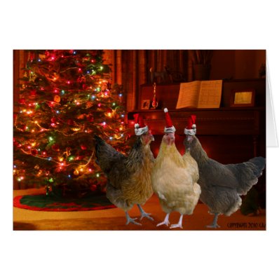 Christmas Chickens Greeting Cards