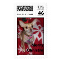 Christmas Chihuahua Dog, Merry Christmas postage
