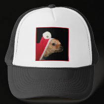 Christmas Chihuahua hat hats