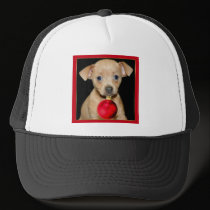 Christmas Chihuahua hat hats