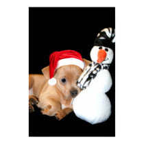 Christmas Chihuahua puppy poster posters