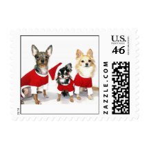 Christmas Chihuahua Stamps