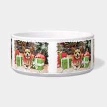 Christmas - Chihuahua X - Lucky Dog Bowl