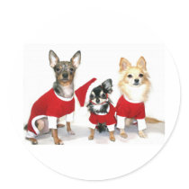 Christmas Chihuahuas Stickers