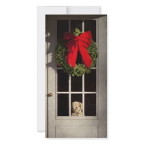 Christmas - Clinton, NJ - Christmas puppy Picture Card
