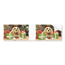 Christmas - Cockalier - Charlie Bumper Stickers