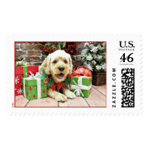 Christmas - Cockapoo - Cooper Stamp