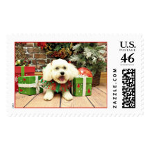 Christmas - Cockapoo - Isabella Stamps