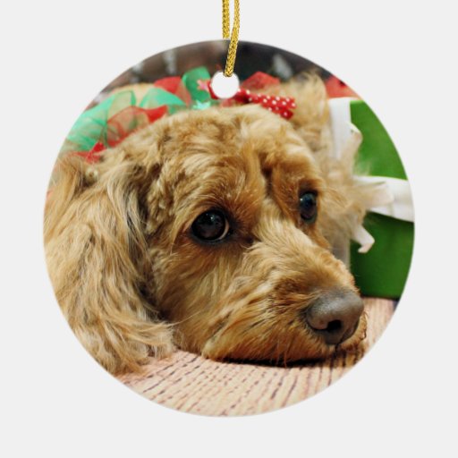 christmas cockapoo odie ceramic ornament zazzle christmas cockapoo odie ceramic ornament zazzle