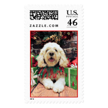 Christmas - Cockapoo - Scruffy Stamp