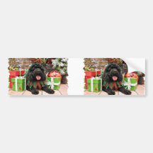 Christmas - Cockapoo - Sophie Bumper Sticker