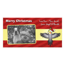 Christmas Cockatiel Customized Photo Card