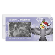 Christmas Cockatiel Custom Photo Card