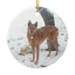 Christmas Collection Add Pet or Family Photos Christmas Tree Ornament