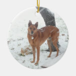 Christmas Collection Add Pet or Family Photos Christmas Tree Ornament