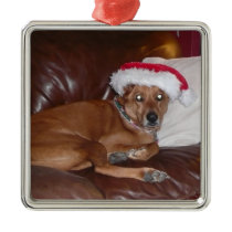 Christmas Collection Pet or Family Photo Ornament
