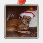 Christmas Collection Pet or Family Photo Ornament
