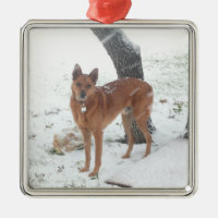 Christmas Collection Pet or Family Photo Square Metal Christmas Ornament