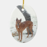 Christmas Collection Pet or Family Photo Ornaments