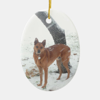 Christmas Collection Pet or Family Photo Ornaments