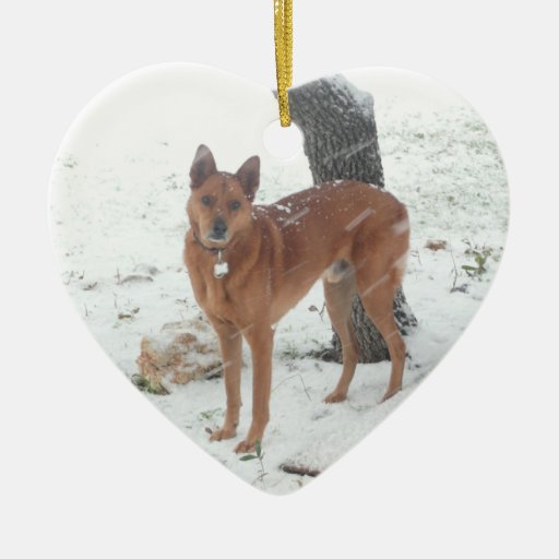 Christmas Collection Pet Photo Heart Ornaments