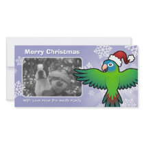 Christmas Conure / Lorikeet / Parrot Personalized Photo Card