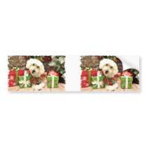 Christmas - Coton de Tulear - Charlie Bumper Stickers
