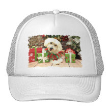 Christmas - Coton de Tulear - Charlie Hat