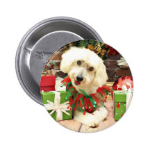 Christmas - Coton de Tulear - Charlie Pins