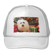Christmas - Coton de Tulear - Claire Hats