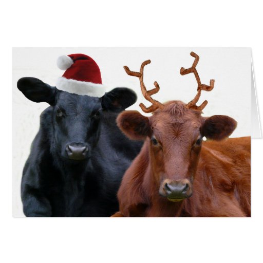 Cow Christmas Cards, Cow Christmas Card Templates, Postage, Invitations ...