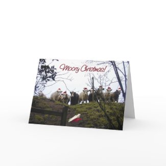 Christmas cows wearing Santa hats. card