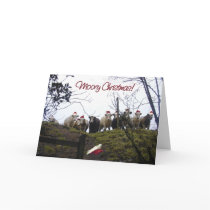 Christmas cows wearing Santa hats. Card