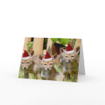 Christmas Coyote Pups Greeting Card