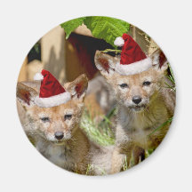 Christmas Coyote Pups Refrigerator Magnets
