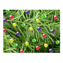 Christmas Curios Postcard