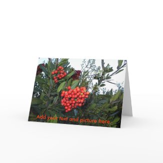Christmas customcard: Add your text and picture... card