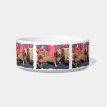 Christmas - Dachshund - Copper Cat Bowl