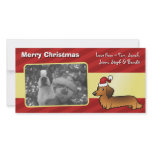 Christmas Dachshund (longhair) Photo Card