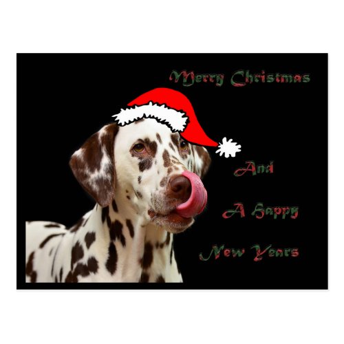 Christmas Dalmatian Card