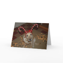Christmas de-light! cards