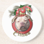 Christmas - Deck the Halls - Pitties - Jersey Girl Beverage Coasters