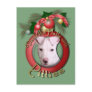 Christmas - Deck the Halls - Pitties - Petey Postcards