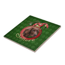 Christmas - Deck the Halls - Setters tiles