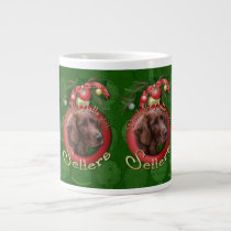 Christmas - Deck the Halls - Setters mugs