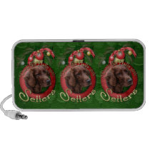 Christmas - Deck the Halls - Setters speakers